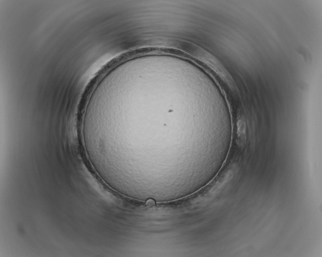 X0000114150972200910221543