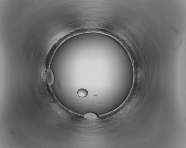 X0000114150973200910221543