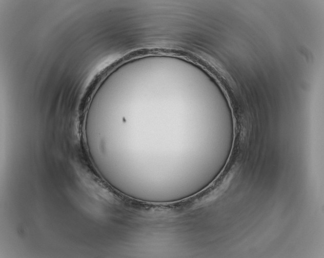 X0000114150974200910221543