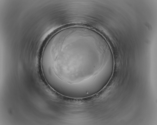 X0000114150975200910221543