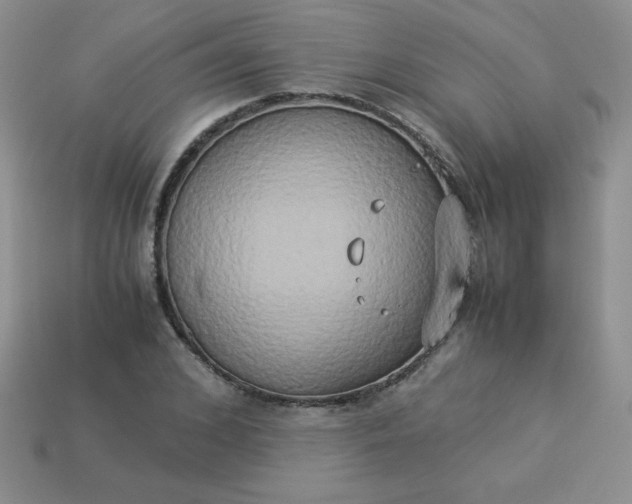 X0000114150976200910221543