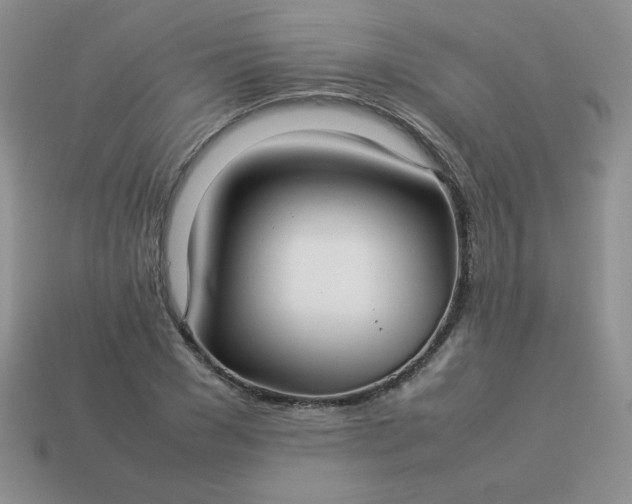 X0000114150977200910221543