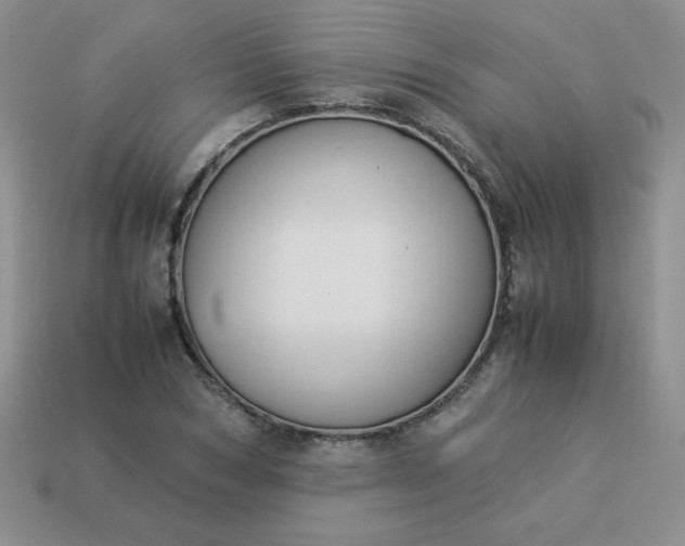 X0000114150978200910221543