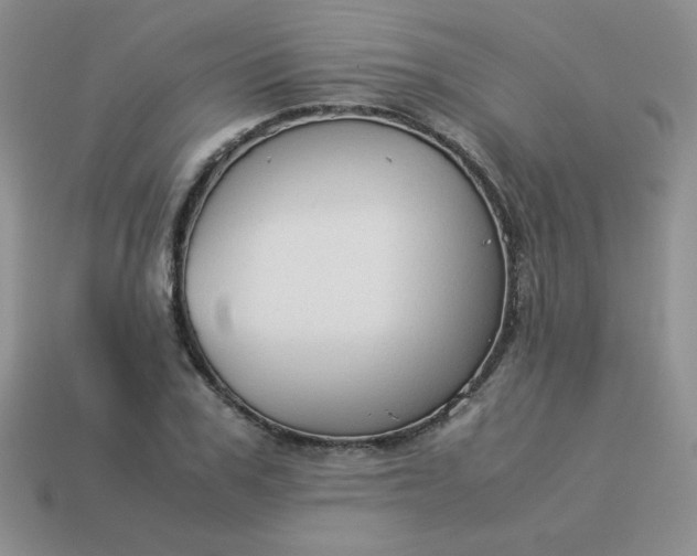 X0000114150979200910221543