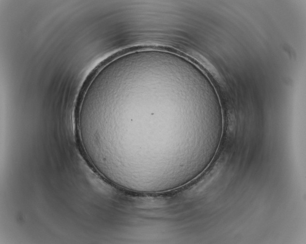 X0000114150980200910221543