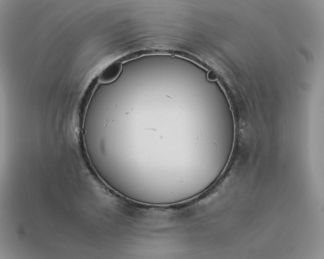 X0000114150981200910221543