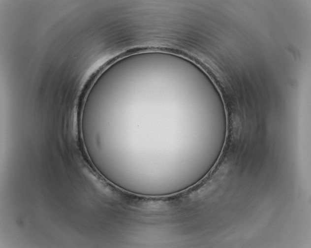 X0000114150982200910221543