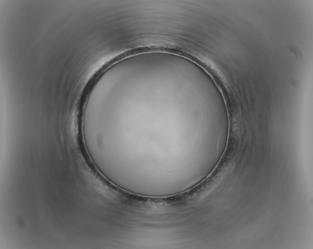 X0000114150983200910221543