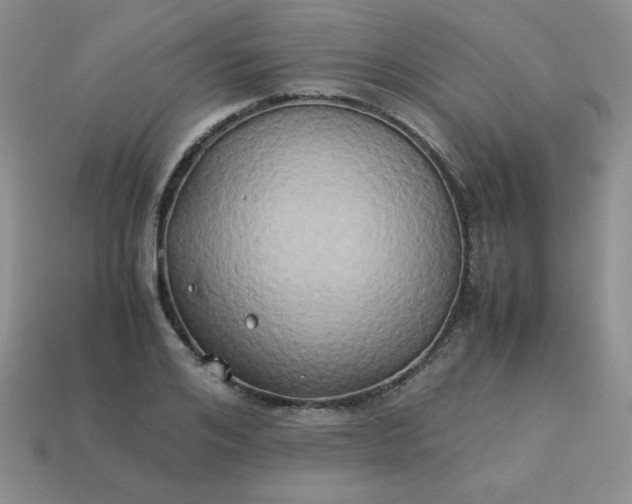 X0000114150984200910221543