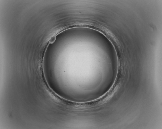 X0000114150985200910221543