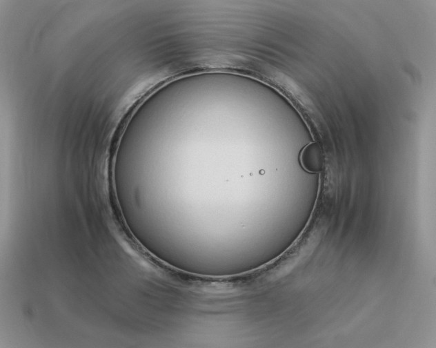 X0000114150986200910221543