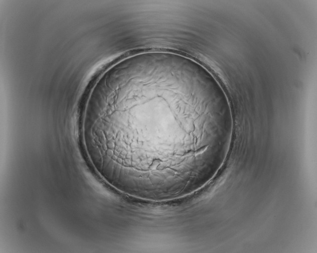 X0000114150987200910221543