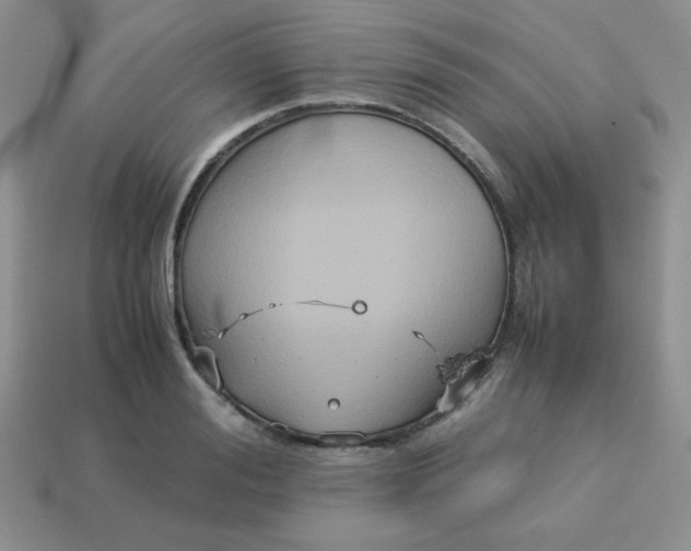 X0000114150988200910221543