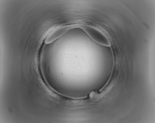 X0000114150989200910221543