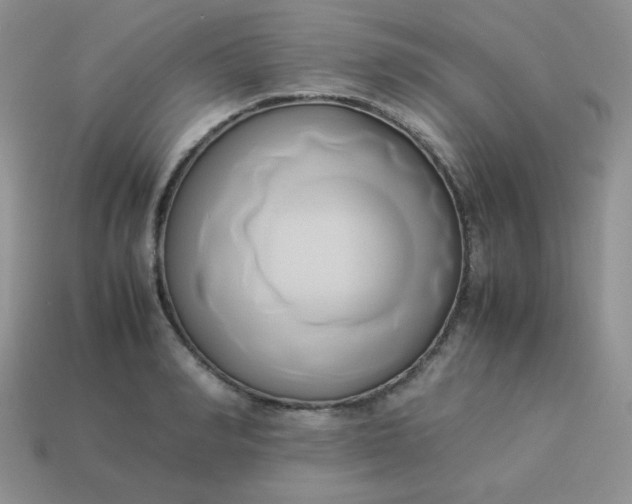 X0000114150990200910221543