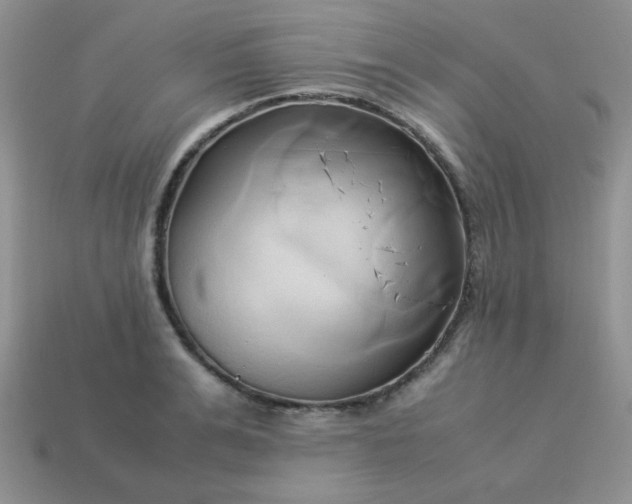 X0000114150991200910221543