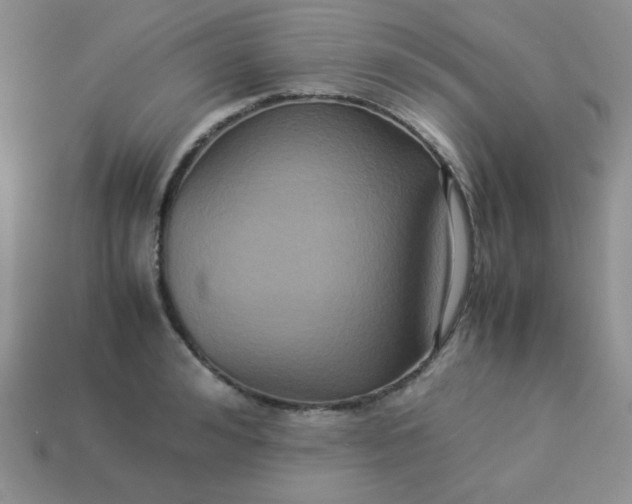 X0000114150992200910221543