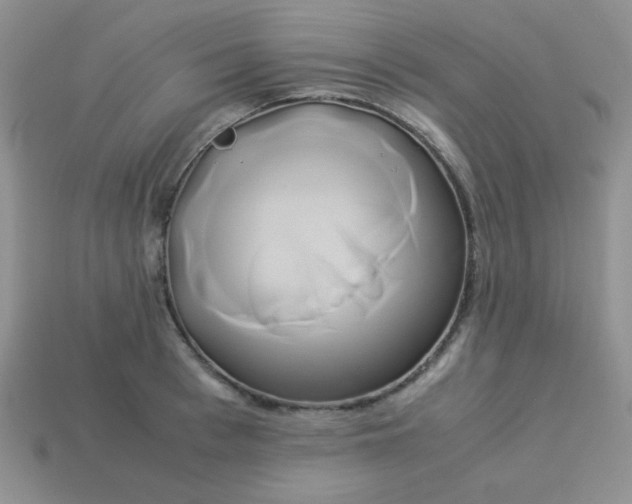 X0000114150993200910221543