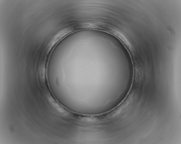 X0000114150994200910221543