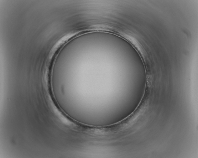 X0000114150995200910221543