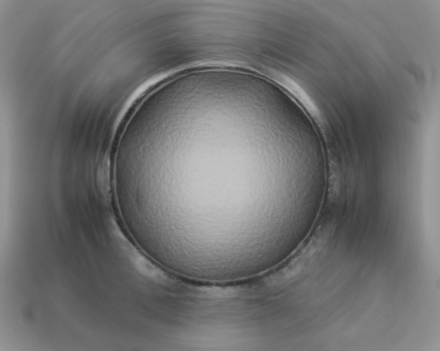 X0000114150996200910221543