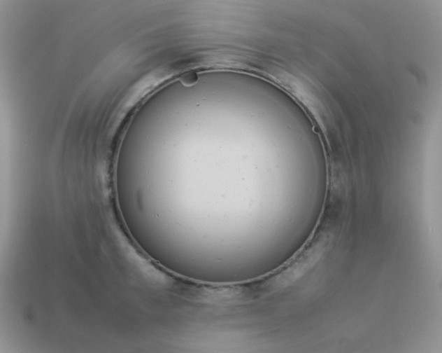 X0000114150997200910221543