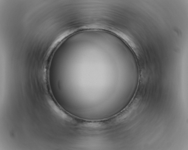 X0000114150998200910221543