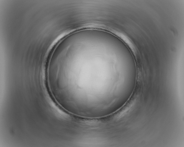 X0000114150999200910221543