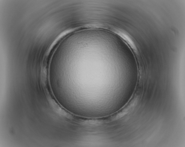 X0000114151000200910221543