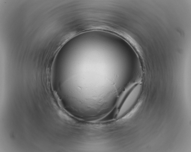 X0000114151001200910221543