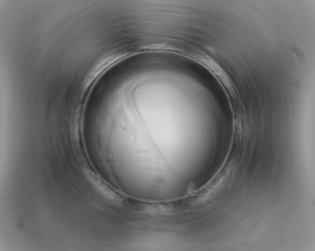 X0000114151002200910221543