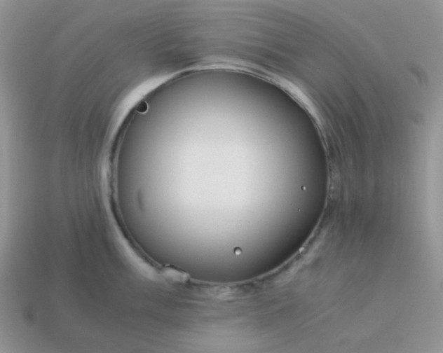 X0000114151003200910221543