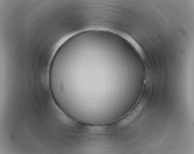 X0000114151004200910221543