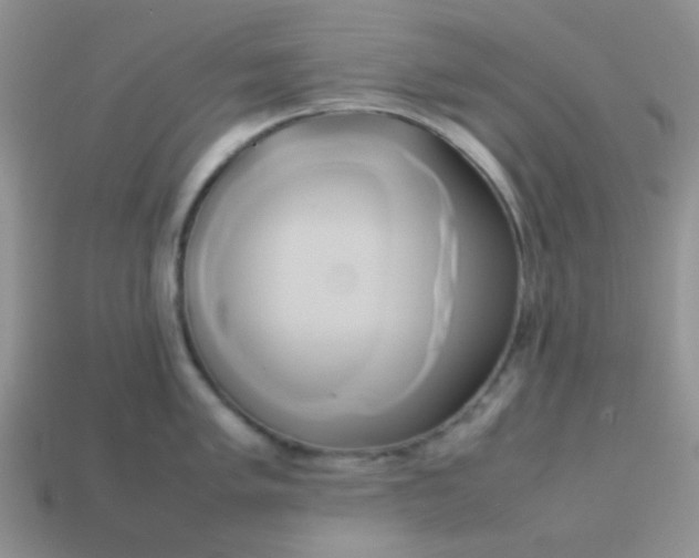 X0000114151005200910221543