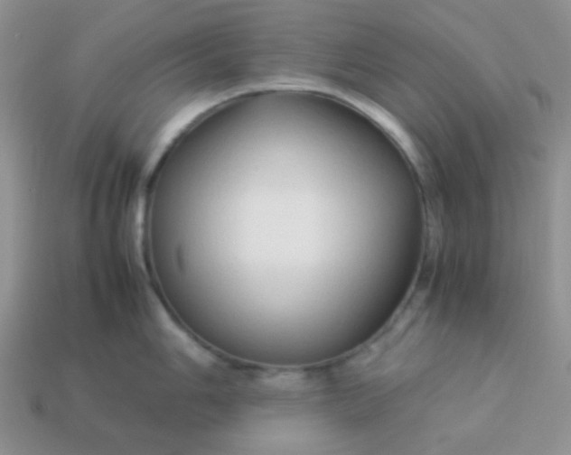 X0000114151006200910221543