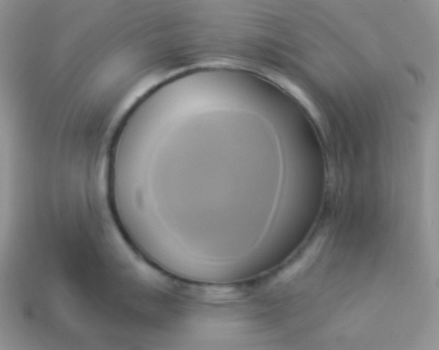 X0000114151007200910221543