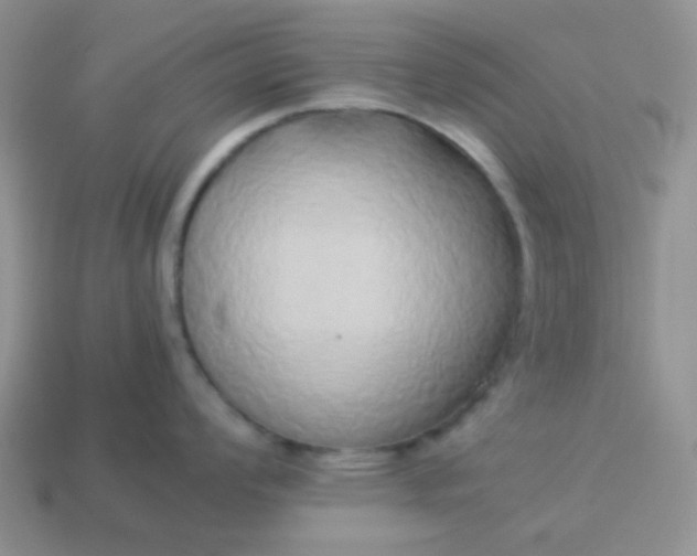 X0000114151008200910221543