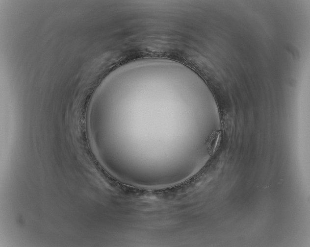 X0000114151009200910221542