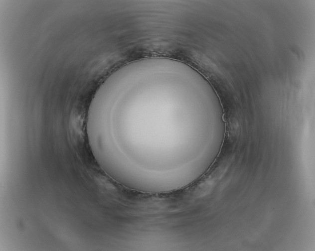 X0000114151010200910221542