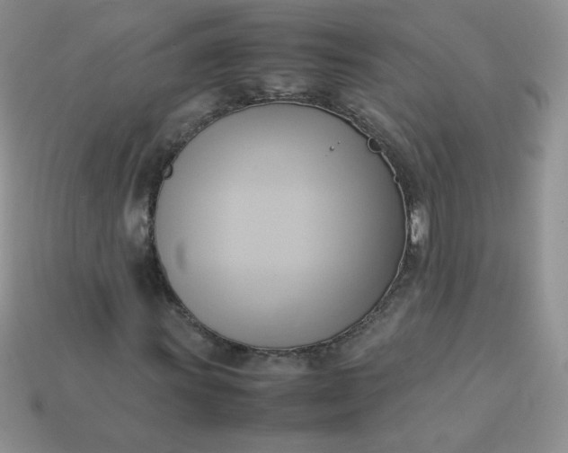 X0000114151011200910221542