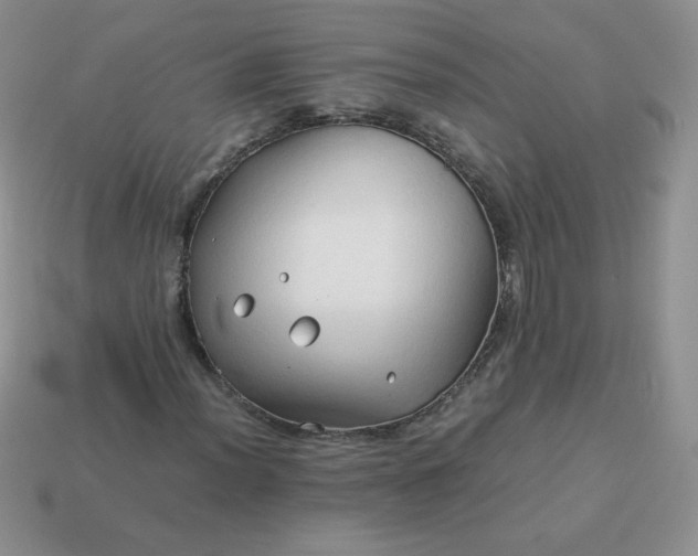 X0000114151012200910221542