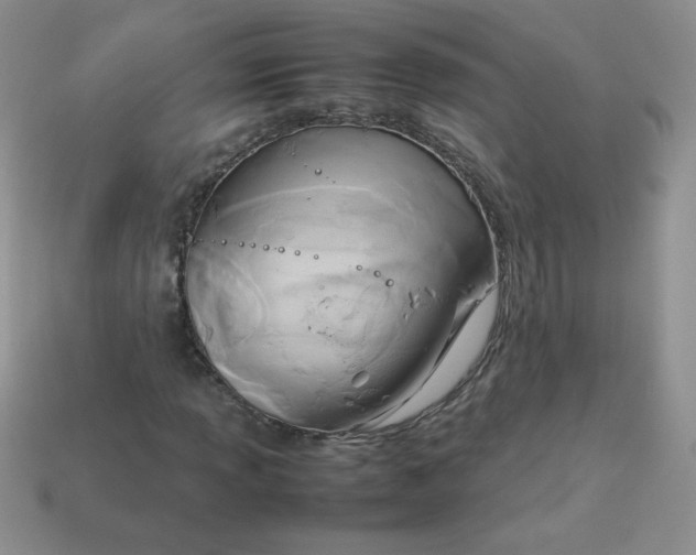 X0000114151013200910221542