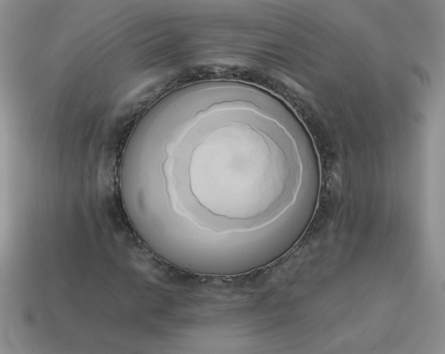 X0000114151014200910221542