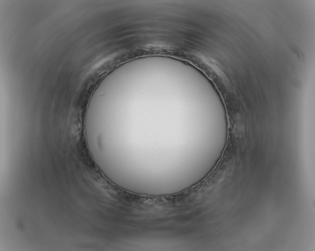 X0000114151015200910221542