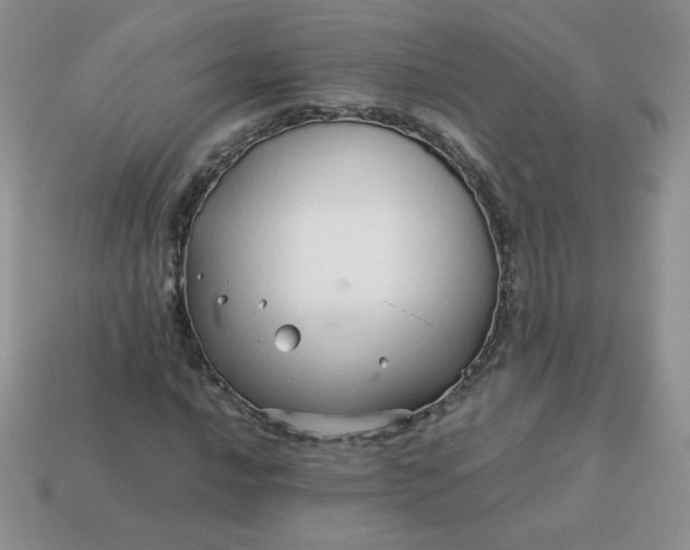 X0000114151016200910221542