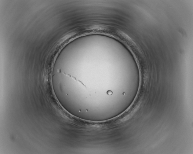 X0000114151017200910221542