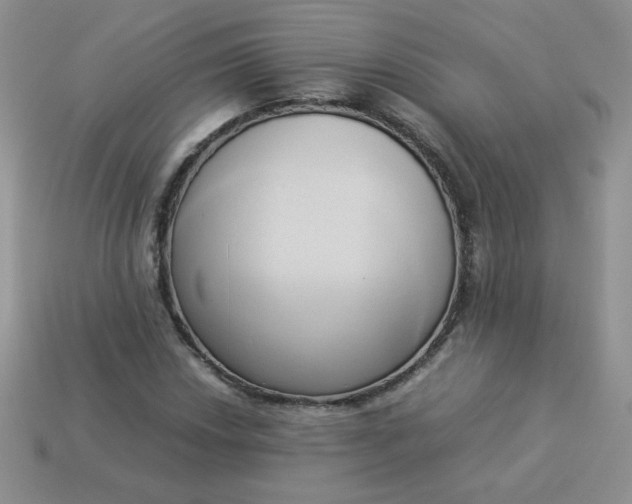 X0000114151018200910221542