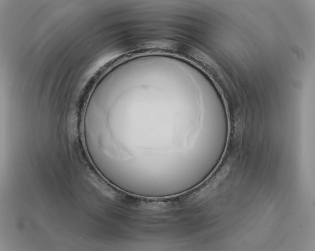 X0000114151019200910221542