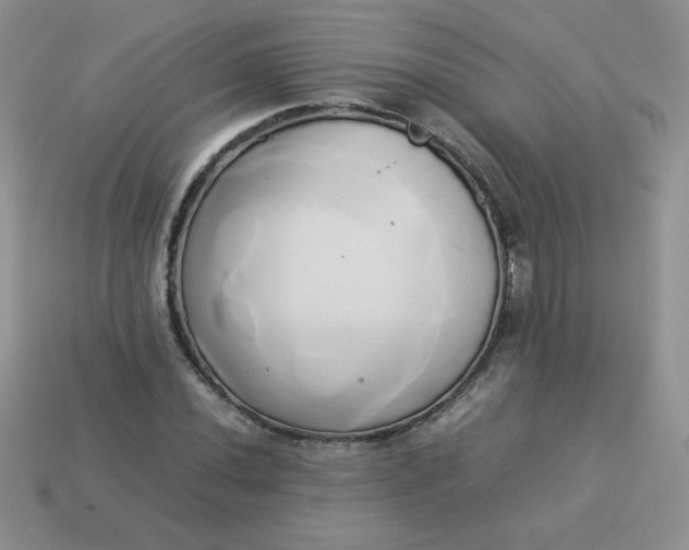 X0000114151020200910221542