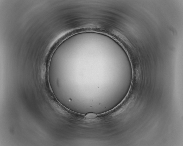 X0000114151021200910221542